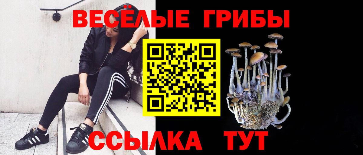 Галлюциногенные грибы GOLDEN TEACHER  Вход с VPN  Алейск  наркошоп  Псилоцибиновые грибы Magic Shrooms 